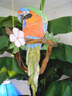 Catalina Macaw.jpg (17998 bytes)